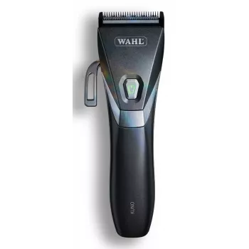 Wahl Kuno preto iões de lítio (Li-Ion)