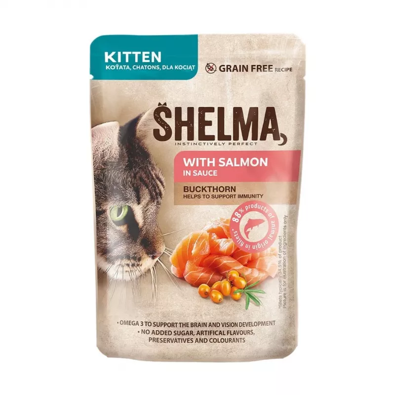 Alimento húmido para gatos SHELMA Kitten salmão e peru em molho 4×85 g saquetas, sem cereais, alimento completo