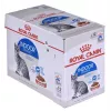 Comida húmida para gatos Royal Canin Indoor Sterilized 12 x 85 g — aves, gatos adultos esterilizados de interior