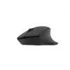 Rato sem fios Natec Siskin 2 BT 5.0 + 2.4GHZ