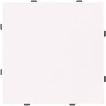 BUSCH-JAEGER 1742-44G disco central cego com anel de suporte (2CKA001710A4211)