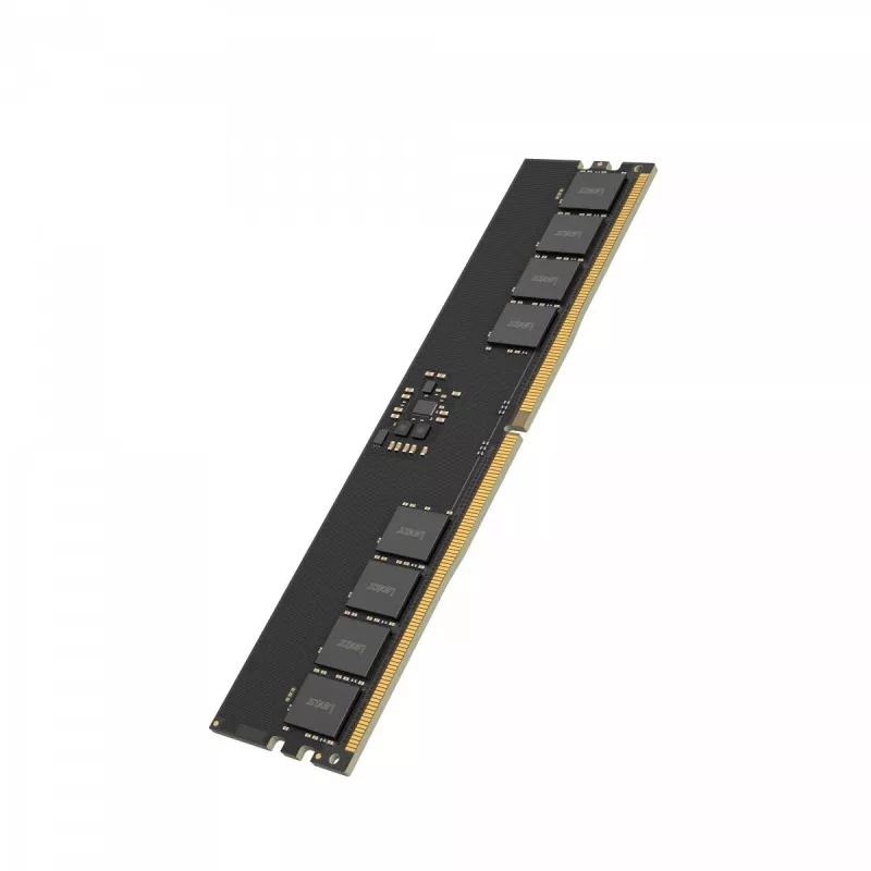 Lexar DDR5 - módulo - 32 GB - DIMM 288-PIN - 5600 MT/s / PC5-44800