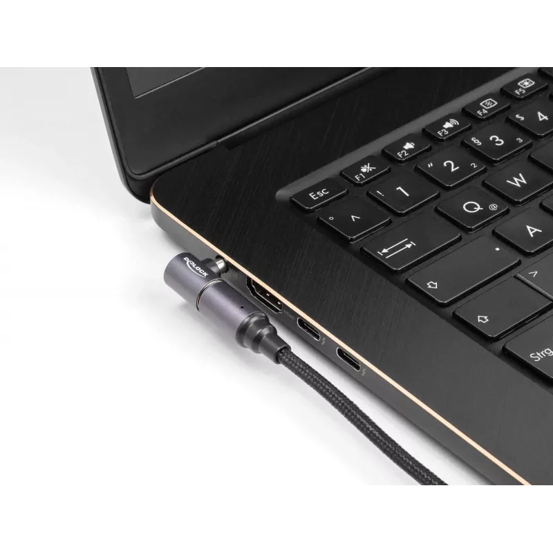 Cabo de alimentação DeLOCK 80781 0,15 m USB-C 8 pinos 20 V
