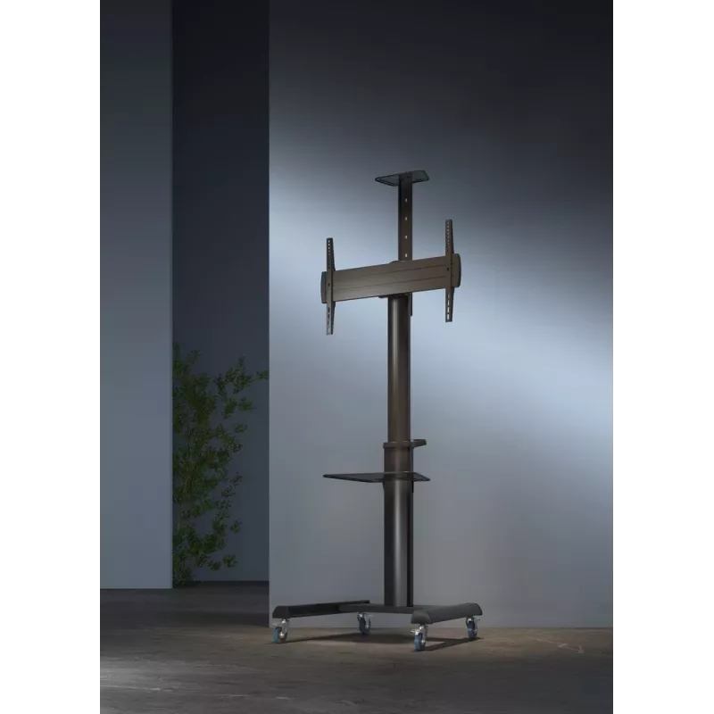 Suporte de TV de chão Gembird TVS-70T-02 para ecrãs de 37