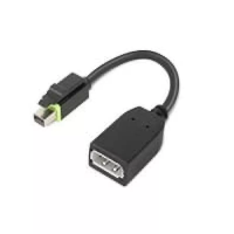 Adaptador de cabo de vídeo Lenovo 4X90Q93975 Mini DisplayPort DisplayPort preto