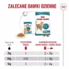 Comida húmida para gatos Royal Canin FHN Ageing 11+ Gravy 12×85 g – comida húmida completa sénior em tigelas
