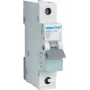 Hager MBS132. Corrente nominal: 32 A, Frequência de rede: 50/60. Tipo: Característica B, Número de módulos (máx.): 1 módulo(s). Largura: 17,5 mm, Profundidade: 70 mm, Altura: 83,4 mm (MBS132)