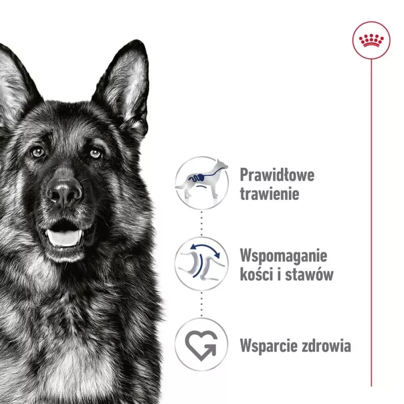 ROYAL CANIN SHN Maxi Adult pão lata 410 g