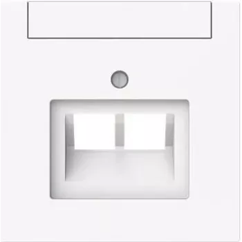 BUSCH-JAEGER 1803-02-44G placa central 2 tomadas UAE com etiqueta (2CKA001710A4227)