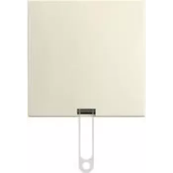 Interruptor de cordão BUSCH JAEGER AP 2610/6 J-522 (2TKA00005520)