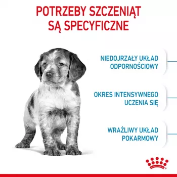 Ração seca para cães Royal Canin Medium Puppy 4 kg — para raças médias 10–25 kg, proteína 32 %, gordura 20 %, frango