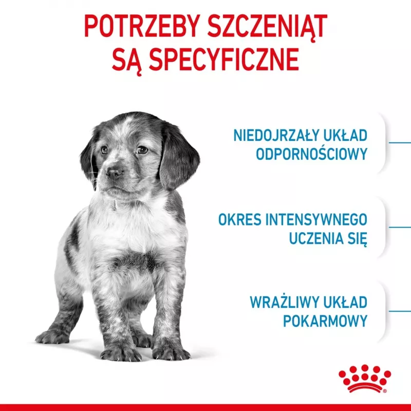 Royal Canin Medium Puppy alimento seco para cachorros 4 kg, milho, aves