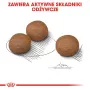 ROYAL CANIN CCN Medium Digestive Care - Alimento seco para cães - 3 kg