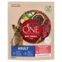 Purina One Mini Adult alimento seco para cães com carne de bovino e arroz, 800 g
