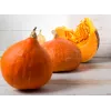 Sementes de hortícolas abóbora Uchiki Kuri Toraf, pacote 5g
