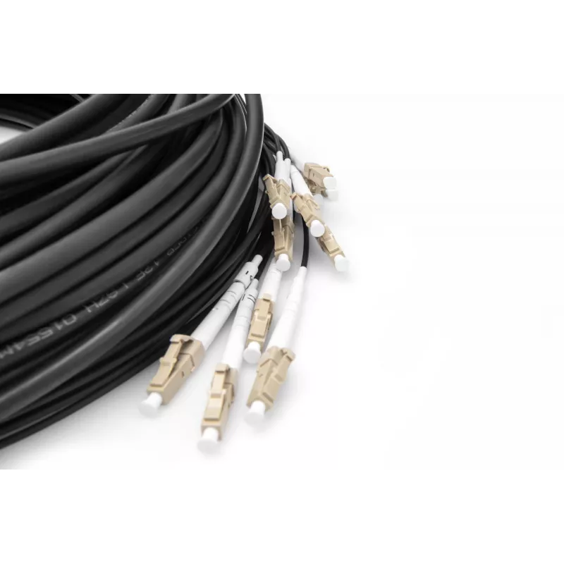 Cabo breakout Digitus DK-2433CU030BK-BBB 30 m OM4 12 fibras LC/UPC