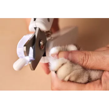 Corta-unhas para gatos e cães PETKIT PRO Cutter com luz LED melhorada, profissionalmente iluminado, linha sanguínea, catnip para gatos, aparador de garras para animais de estimação, beleza