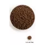 ACANA Grasslands Cat - Alimento seco para gatos - 4,5 kg