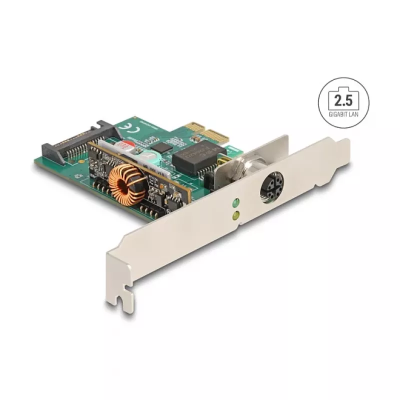 DeLOCK 90760 Placa de rede interna 2500 Mbit/s PCI Express com fios