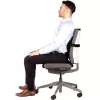 Apoio lombar para cadeira PlushTouch/Lumbar 8026501 FELLOWES