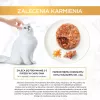 Purina Gourmet Gold Savoury Cake ração húmida para gatos 48x85 g