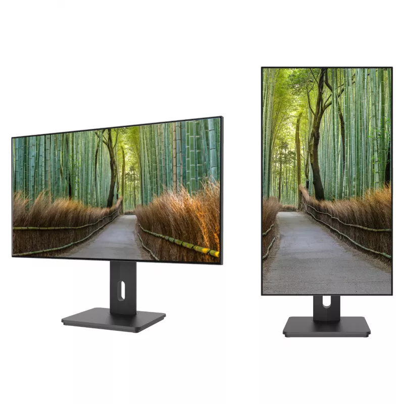 JAPANNEXT JN-27IPS4FLWQHDR-HSP 16:9 HDMI/DP WQHD - ecrã plano (TFT/LCD)