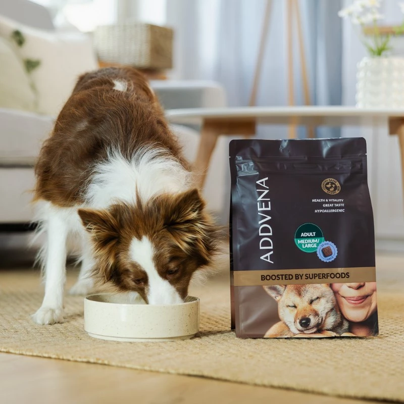 ADDVENA Boosted by superfoods Adult Medium/Large Beef - ração seca para cães - 2,5 kg