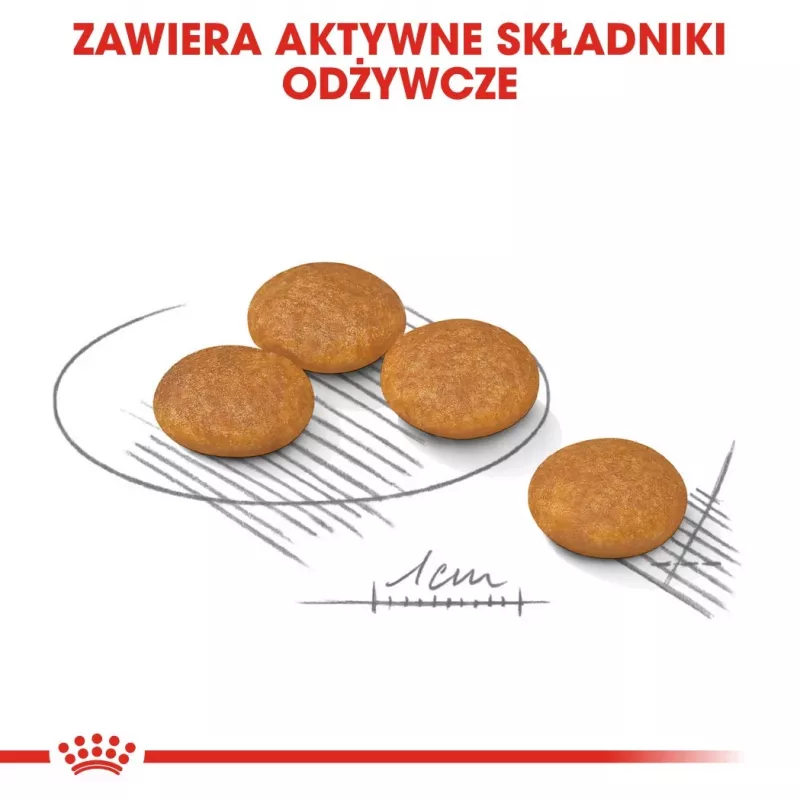 ROYAL CANIN Mini Dermacomfort - Comida seca para raças pequenas adultas com pele sensível e propensa a irritações - 3 kg