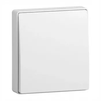 BUSCH JAEGER BJ 2506-915 tecla fechada para mecanismo de interruptor Busch-balance SI (2CKA001731A4043)