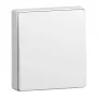 BUSCH JAEGER BJ 2506-915 tecla fechada para mecanismo de interruptor Busch-balance SI (2CKA001731A4043)