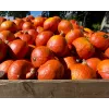 Sementes de hortícolas abóbora Uchiki Kuri Toraf, pacote 5g