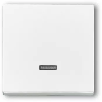 BUSCH JAEGER 6543-84-101 - branco - Busch-Jaeger - 63 mm - 63 mm - 1 unid.