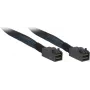 Inter-Tech - cabo SAS interno - SAS 12Gbit/s - 4x Mini SAS HD (SFF-8643) para 4x Mini SAS HD (SFF-8643) - 1,0 m - preto/azul (88885006)