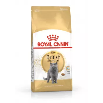 Royal Canin British Shorthair Adult ração seca para gatos 4 kg