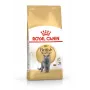 Royal Canin British Shorthair Adult ração seca para gatos 4 kg