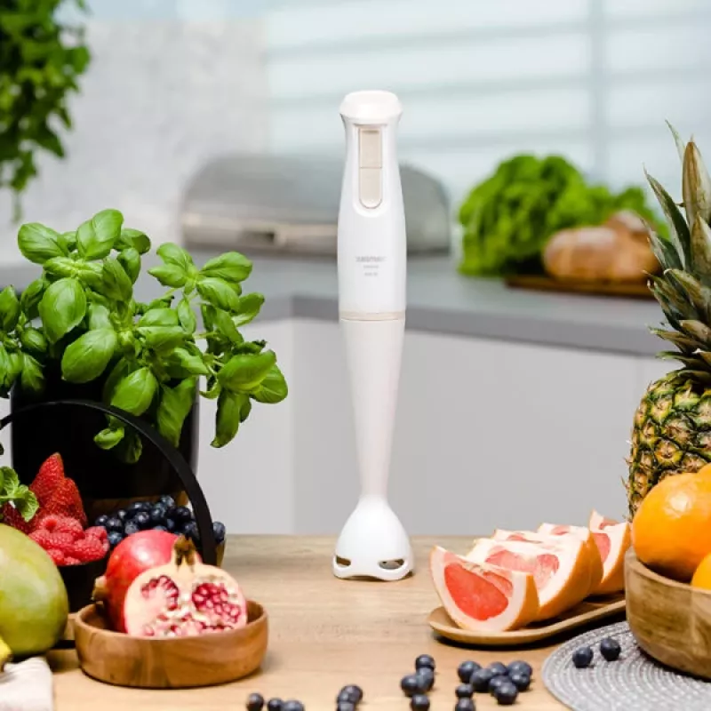 Liquidificadora Zelmer ZHB4560I Pulsar