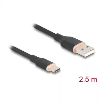 Cabo USB DeLOCK 81227 2,5 m USB A USB C preto