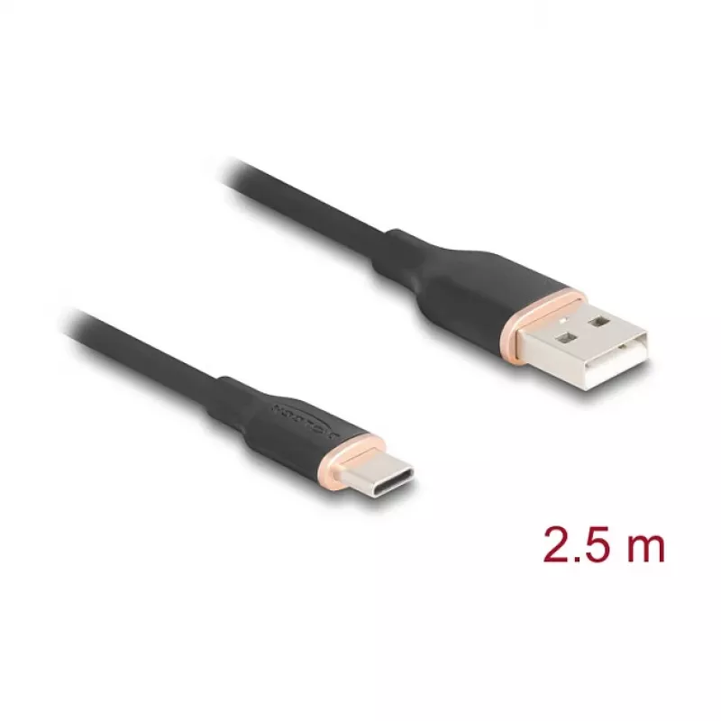 Cabo USB DeLOCK 81227 2,5 m USB A USB C preto
