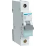 Hager MBN116 Interruptor elétrico 1P (MBN116)