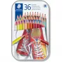Lápis de cor Staedtler 175 Multicolour 36 unid.