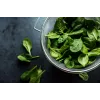 Sementes de hortícolas espinafre da Nova Zelândia Toraf, pacote 5g