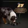 PURINA Pro Plan Everyday nutrition todas as raças adulto peru em geleia - comida húmida para cães - 400g