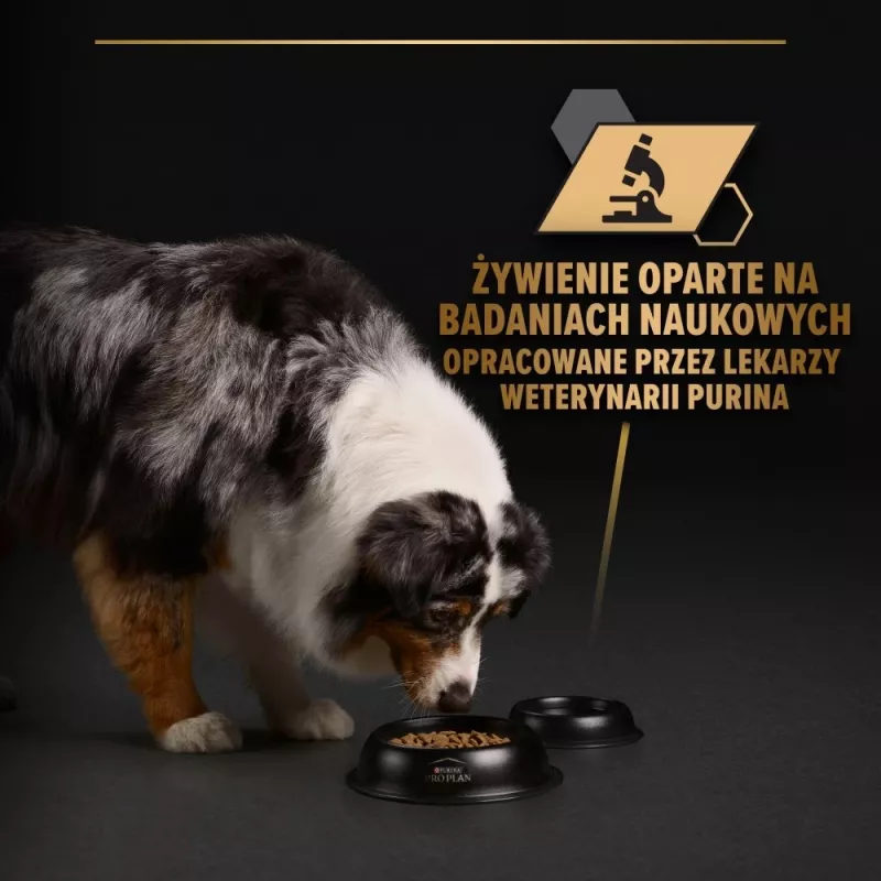 PURINA Pro Plan Everyday nutrition todas as raças adulto peru em geleia - comida húmida para cães - 400g
