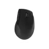 Acer Smart Fit rato vertical HP.EXPBG.020, sem fios/Bluetooth 5.0, 8000 DPI, preto