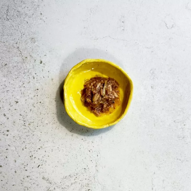 Ollo Atum com Anchova em Caldo Nº 9 70g