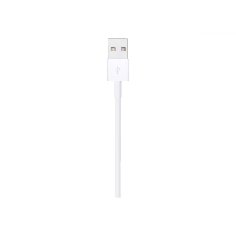 Cabo Apple Lightning para USB 1 m MUQW3ZM/A
