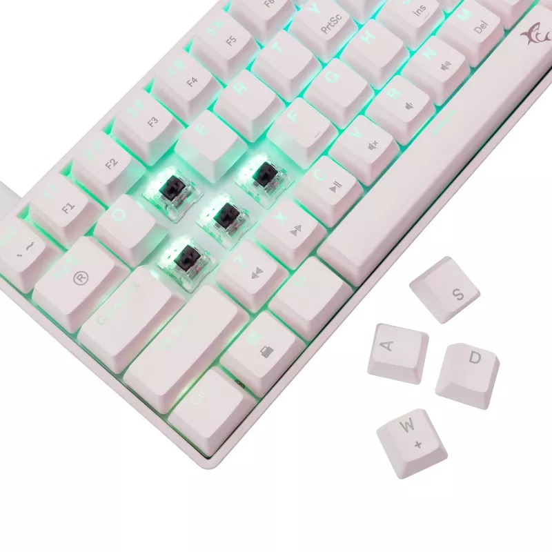 Teclado mecânico White Shark Shinobi-2 Brown Switch layout US — design compacto, switches Brown