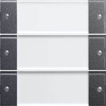 GIRA 213328 Interruptor de luz antracite - transparente (213328)