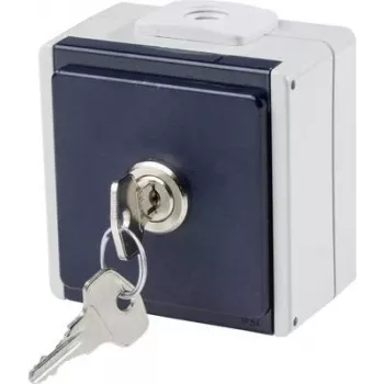 as - Schwabe 62461 Tomada de superfície com fecho IP54 cinzento (62461)