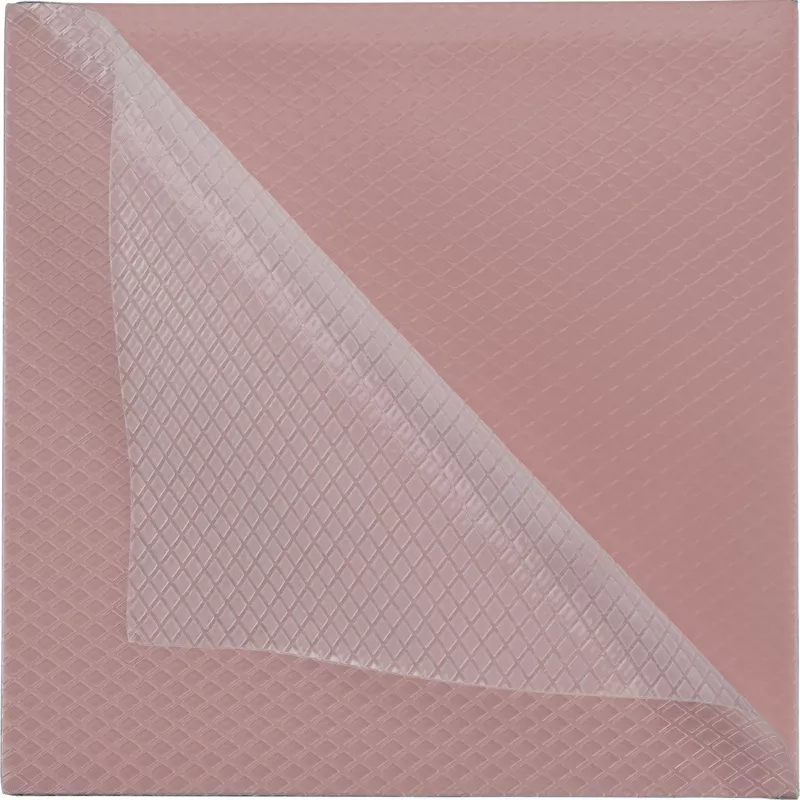 Thermal Grizzly Minus Pad 8 - 100 x 100 x 1,0 mm, 2 unidades